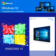 微软（Microsoft）Windows 10神舟网信专业版操作系统