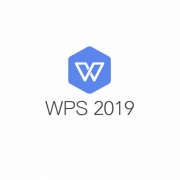 WPS office 2019 专业版 一年服务 官方正版