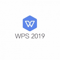 WPS office 2019 专业版 一年服务 官方正版