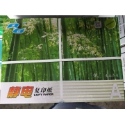 金旺A4 80G复印纸 330张/包 10包/箱