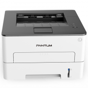 奔图（PANTUM） P3019DW A4黑白激光打印机 WiFi连接 自动双面 打印速度 30ppm 分辨率1200×600dpi 自动双面 耗材DL-419/TL-419