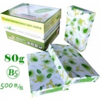 绿叶 B5 80g复印纸  500张/包 10包/箱