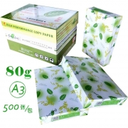 绿叶（GreenLeaf） A3 80g 复印纸 500p 绿白包装 5包/箱