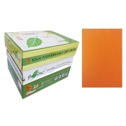 绿叶 80克橙色A5 优等品彩色复印纸 500张/包 20包/箱(单价 元/箱)厂家直销