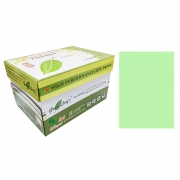 绿叶 80克绿色A4 优等品彩色复印纸 500张/包 10包/箱（单价 元/箱）厂家直销