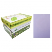 绿叶 80克紫色A4 优等品彩色复印纸 500张/包 10包/箱(单价 元/箱)厂家直销