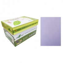 绿叶 80克紫色A4 优等品彩色复印纸 500张/包 10包/箱(单价 元/箱)厂家直销