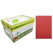 绿叶 80克大红色A4 优等品彩色复印纸 500张/包 10包/箱(单价 元/箱)厂家直销